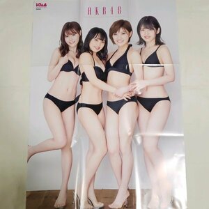 DK386 村山彩希×向井地美音×岡田奈々×込山榛香（AKB48）◆ポスター 両面 雑誌付録 水着 ビキニ