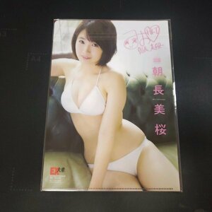 G303 朝長美桜（HKT48）◆B5クリアファイル（両面） 雑誌付録 水着 ビキニ