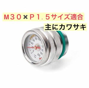 油温計 M30 × P1.5 銀 バイク 汎用 オイルテンプメーター メーター オートバイ GPX250R バルカン400 ZRR400 ZX-4 ZRX400