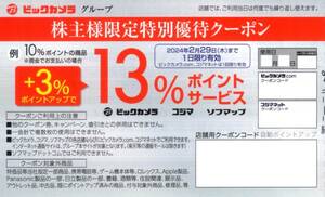 ★ビックカメラ　+3%ポイントアップクーポン×1枚★ビックカメラ株主優待★2024/2/29まで★即決