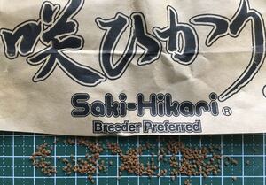 咲ひかりSSS1.3㎜沈下性(10キロ)(金魚 らんちゅう 錦鯉 川魚 タナゴ どじょう 熱帯魚 海水魚)キョーリンひかり菌入り高品質餌(送料無料)