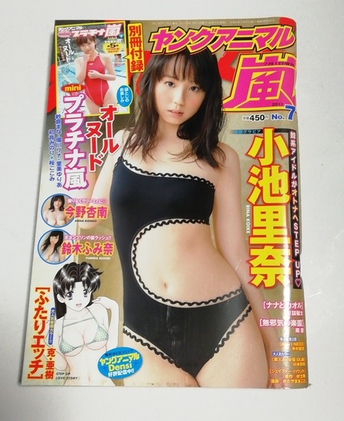 ヤングアニマル嵐 2013 小池里奈 今野杏南 鈴木ふみ奈/別冊付録 未開封袋とじ写真集ミニプラチナ嵐 紗倉まな 瑠川リナ 初音みのり 他