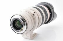 [極美品] Canon EF 28-300mm F3.5-5.6L IS USM_画像8