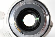 [極美品] Canon EF 28-300mm F3.5-5.6L IS USM_画像10