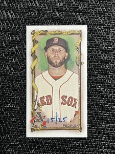 Dustin Pedroia 25枚限定 2023 Topps Allen & Ginter Mini Brooklyn Back Card #188 MLB Red Sox