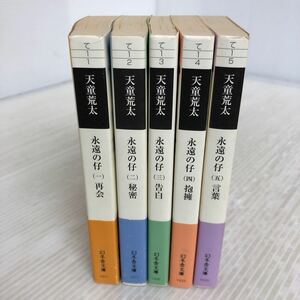 I-ш/ 永遠の仔 全巻セット 5冊まとめ 幻冬舎文庫 天童荒太 再会 秘密 告白 抱擁 言葉