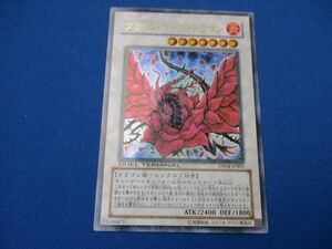 トレカ 遊戯王 DT04-JPB01 ブラック・ローズ・ドラゴン ウルトラ