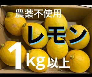 【和歌山県産】農薬不使用　完熟レモン　1kg以上