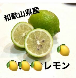 【和歌山県産】レモン　1kg（訳あり）　
