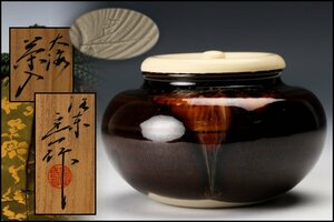 【佳香】桶谷定一 大海茶入 共箱 仕覆(珠光緞子) 茶道具 本物保証