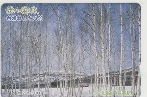 ＪＲ北海道「懐かしの深名線・白樺林とキハ５３」1穴使用済み