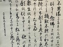 【模写】【大幅】浄土真宗本願寺派 柄谷正純「多行書」紙本 神戸別院 検)親鸞聖人/墨蹟/掛け軸/書画/仏画 仏教 経典 念仏_画像5