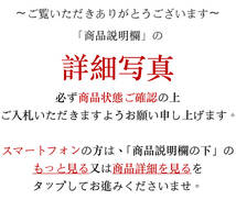 中国美術　端渓硯　硯　文房具　書道具　唐木共箱付　唐物　中国古玩　YS23111703_画像10