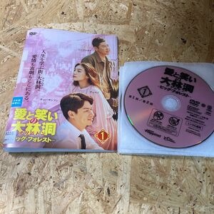 愛と笑いの大林洞 ビッグフォレスト韓国ドラマ 全巻 DVD レンタル落ち 愛と笑いのテリムドン