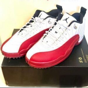 NIKE JORDAN XII G NRG GOLF SHOES US10.5 28.5cm ナイキゴルフ ジョーダン12 ゴルフシューズ