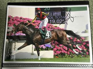 競馬　写真　A4サイズ　2012年クイーンエリザベスカップ　ルーラーシップ　ウンベルトリスポリ騎手　直筆サイン入り