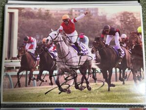 競馬　JRA 写真　A4サイズ 2012年有馬記念　ゴールドシップ　内田博幸騎手直筆サイン入り