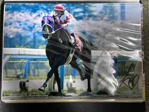 競馬　写真　A4サイズ　金沢地方交流戦　藤田菜七子騎手直筆サイン入り