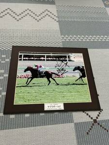 競馬　JRA 武豊騎手直筆サイン入り　写真　サクラボールド　八雲特別