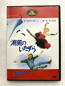 セル版 DVD 潮風のいたずら ゴールディ・ホーン カート・ラッセル ゲイリー・マーシャル