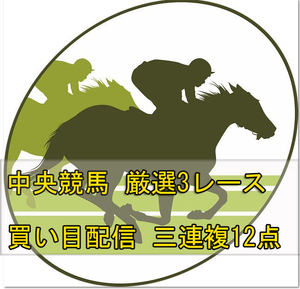 ☆JRA 競馬予想配信☆5週10日間配信1日厳選3レース 3連複 12点 