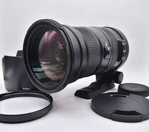 ★外観美品★ シグマ SIGMA DG 50-500mm F4.5-6.3 APO HSM OS ソニーAマウント用　Y1732＃3378