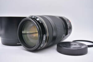 ★良品★ キヤノン CANON EF 70-300mm F4-5.6 IS USM Y1786#1250