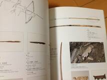 図録 よみがえる北の中・近世 掘り出されたアイヌ文化 市立函館博物館 太刀 刀子 山刀 槍 銛 弓 矢 火打金 民具 儀礼用具_画像6