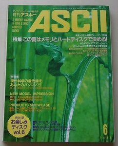 ASCII　マイクロコンピュータ総合誌　1991年6月号NO.168　特集：この夏はメモリとハードディスクで決める！他