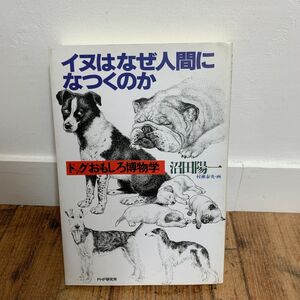 イヌはなぜ人間になつくのか　沼田陽一