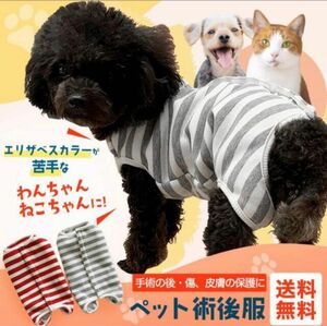 (057)ペット術後服 小型犬 中型犬 猫 犬猫用 エリザベスカラー術後着