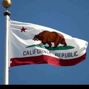 新品 California カリフォルニア ビッグフラッグ 150cmX90 カリフォルニア州旗 大型フラッグ タペストリー ガレージ インテリア