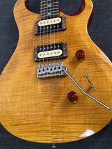 美品　PRS SE CUSTOM 24　改_画像1