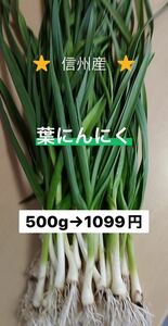 ④葉にんにく（小）500g 長野県産　信州　産地直送