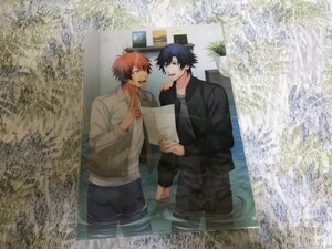 237クリアファイル うたの☆プリンスさまっ♪ Amazing Aria & Sweet Serenade LOVE for Nintendo Switch アニメイト特典 音也 トキヤ