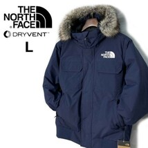 1円～!売切!【正規新品】THE NORTH FACE◆MCMURDO BOMBER JACKET◆マクマードボンバー ダウンジャケット US限定 新作 防寒(L)紺 190122-175_画像1