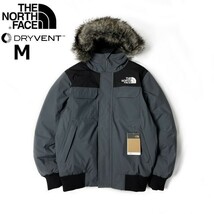 1円～!売切!【正規新品】THE NORTH FACE◆MCMURDO BOMBER JACKET マクマードボンバー ダウンジャケット US限定 新作(M)グレー 190122-175_画像3