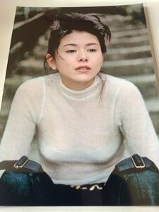 820) 小泉今日子　L判写真