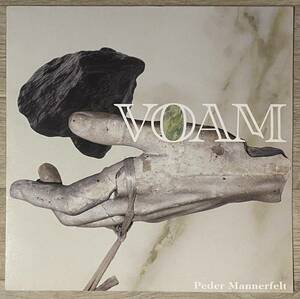 即決！エクスペリメンタル・ベース・テクノ・リズミック・ノイズ / Peder Mannerfelt - Like We Never Existed / Voam - VOAM 003