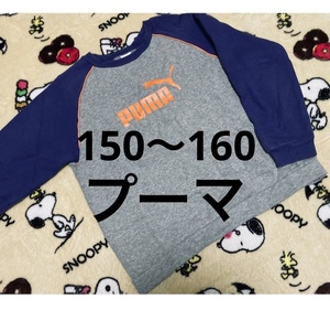 即決◆送料無料◆150〜160センチ◆PUMA プーマ◆裏起毛トレーナー◆グレー・パープル◆