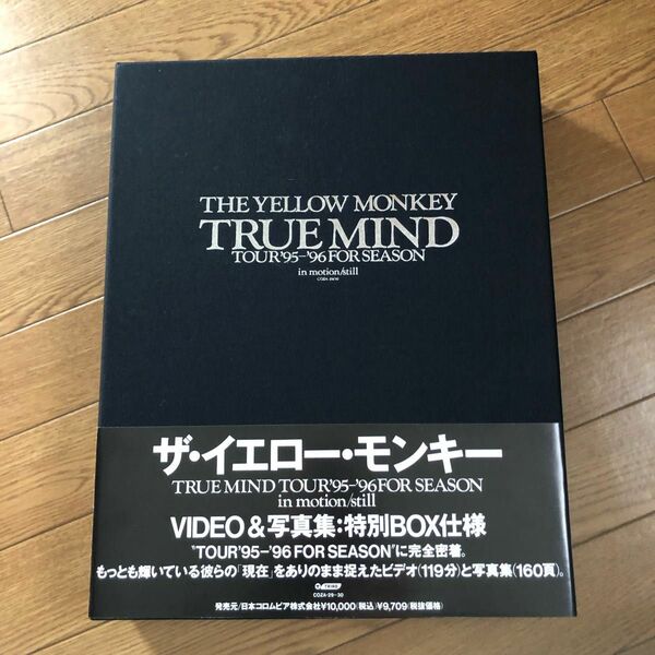 THE YELLOW MONEY TRUE MIND video&写真集 特別BOX仕様　