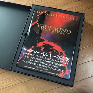 THE YELLOW MONEY TRUE MIND video&写真集 特別BOX仕様