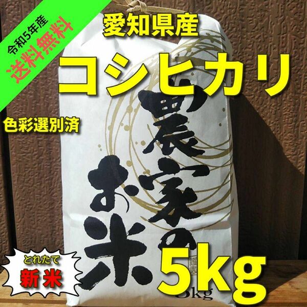 【R5年産 新米 今なら200g増量中！】コシヒカリ(白米 5kg)