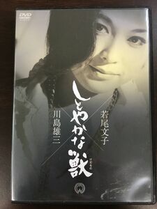 しとやかな獣　若尾文子, 伊藤雄之助, 山岡久乃　原作・脚本/新藤兼人 監督/川島雄三【DVD】