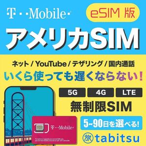 【eSIM版】アメリカSIM 5日間【使い放題】【アメリカ ハワイ 無制限