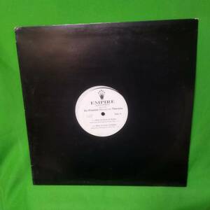 12' レコード Theresa - I Want To Know Ya Better //DJ Premier