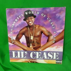 2枚組 LP レコード Lil' Cease - The Wonderful World Of Cease A Leo - It's Been A Long Time Coming