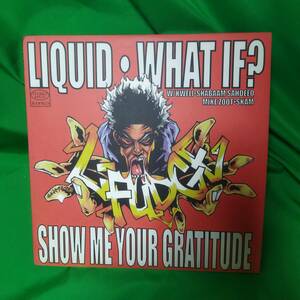 12' レコード L-Fudge - Liquid / What If? / Show Me Your Gratitude