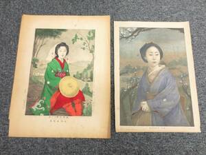 H49　美人画　2枚セット　明治12年2月　1879年　画作者:岡村政子　石画者:酒井鈴子　「美女大野き佐子／東京芳町芸妓奴」　蔵出品　当時物