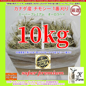 【12/24まで限定】 カナダ産 チモシー 10kg スーパープレミアム （１番刈り）最上級オーロラヘイ /牧場運営の当方が見極めた極上チモシー